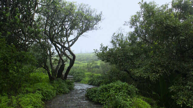 Sinhagad Fort&mdash;the fort on which Bollywood's Tanhaji is based