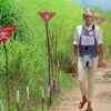 She strongly supported the campaigns demanding a ban on landmines