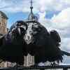 Ravens must remain in the Tower of London