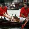 Swan Upping