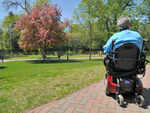 Multiple Sclerosis