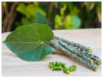 Immunity booster Giloy: 3 simple ways you can include Giloy in your daily diet