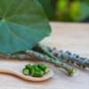 ​Giloy: The wonder herb for your immune system