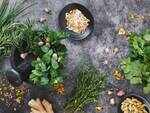 Herbs