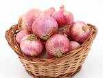 Onion