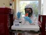 ​When will the mass vaccination process begin?
