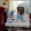 ​When will the mass vaccination process begin?