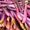 Chinese eggplant