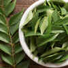 ​Benefits of curry leaves