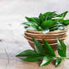 ​The nutrient-packed leaves