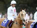 The granddaugter of Elizabeth II Zara Tindall is a skilled horse rider
