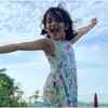 Article image for: Ally turns six