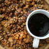 Most Premium Coffees Teas Around The World That Contain Poop Saliva Or Puke The Times Of India