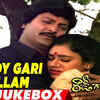 Article image for: Watch Popular Telugu Hit Music Audio Song Jukebox From 'Rowdy Gari <i class="tbold">pellam</i>'