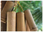 ​What else was launched on World Bamboo Day?