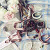 Organize an indoor picnic