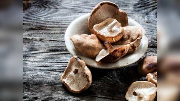 Shiitake mushroom