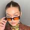 Article image for: Tinted <i class="tbold">sunglasses</i>