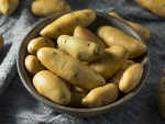 Fingerling Potato