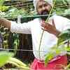 ​Trying hands at farming