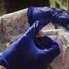 Coronavirus live updates: Rapid tests to be given to poorer countries, WHO says