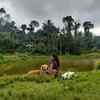 ​Rashmi's vacation with her 'paw' buddies and hubby
