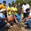 Article image for: <i class="tbold">jamia millia islamia</i> celebrates Gandhi Jayanti