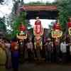 Article image for: <i class="tbold">dasara elephant</i>s reach Mysuru from their forest camp