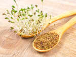 Health benefits of Alfalfa sprouts
