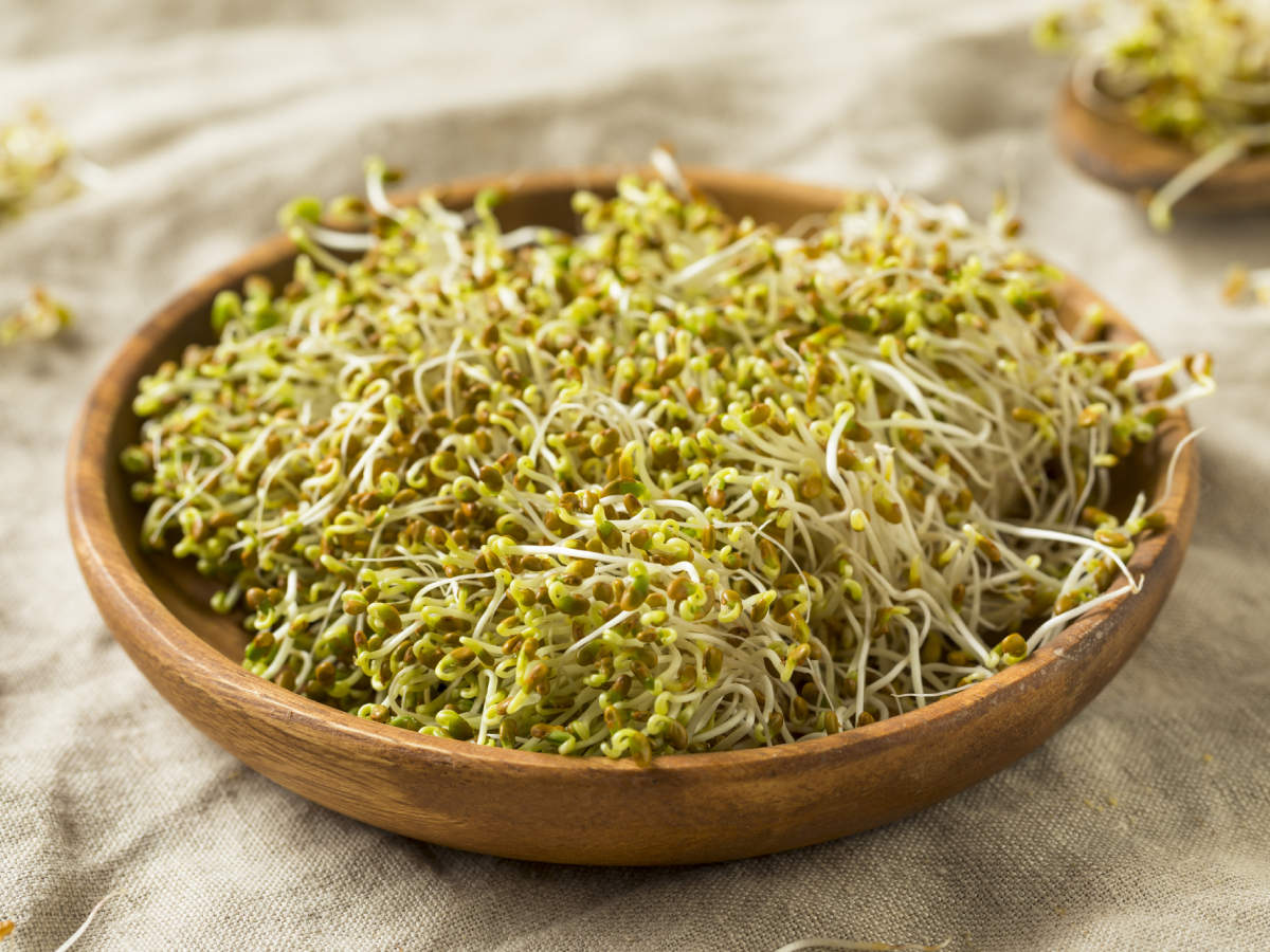 Benefits of Alfalfa sprouts and how to grow them at home | The Times of India