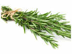 ​Rosemary