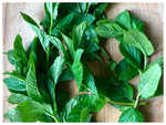 Peppermint