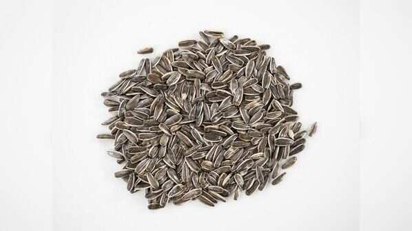 Sunflower Seeds