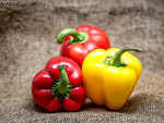 ​Capsicum