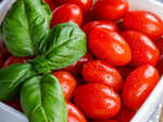 Tomatoes