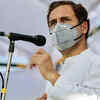 Article image for: Rahul Gandhi's concern for dalit’s a 'Dhong’: <i class="tbold">bihar congress</i>