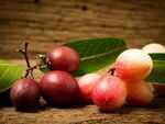 ​Karonda (Carandas Cherry)