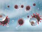 Virus can linger in the air for a long time