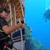 Article image for: Taapsee Pannu happily poses underwater as she enjoys deep-sea diving in the Maldives