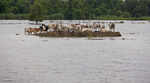 Marooned