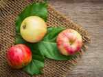 Delicious apple recipes