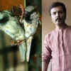 ​Affection for birds
