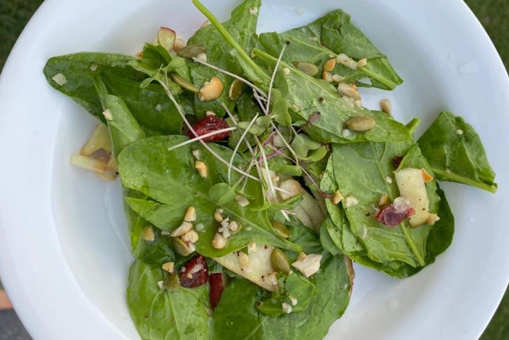 Raw spinach with Apple Salad