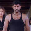 Dhool