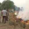 Article image for: ‘Govt’s alternative is costly’, says Jalandhar farmer after burning stubble
