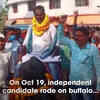 Article image for: Watch: Independent candidate rides on buffalo to file nomination in <i class="tbold">darbhanga</i>