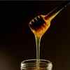 Article image for: Honey <i class="tbold">tonic</i>