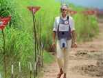 Princess Diana campaigned against the use of landmines which was inherently 'political'