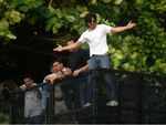 Happy Birthday, SRK!