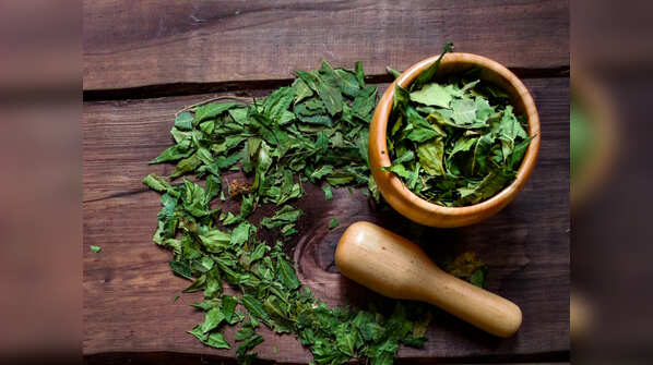 Neem leaves